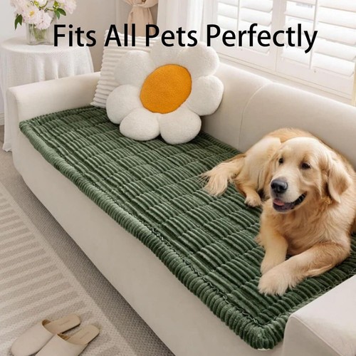 Paw lounge plush pet couch - paw,